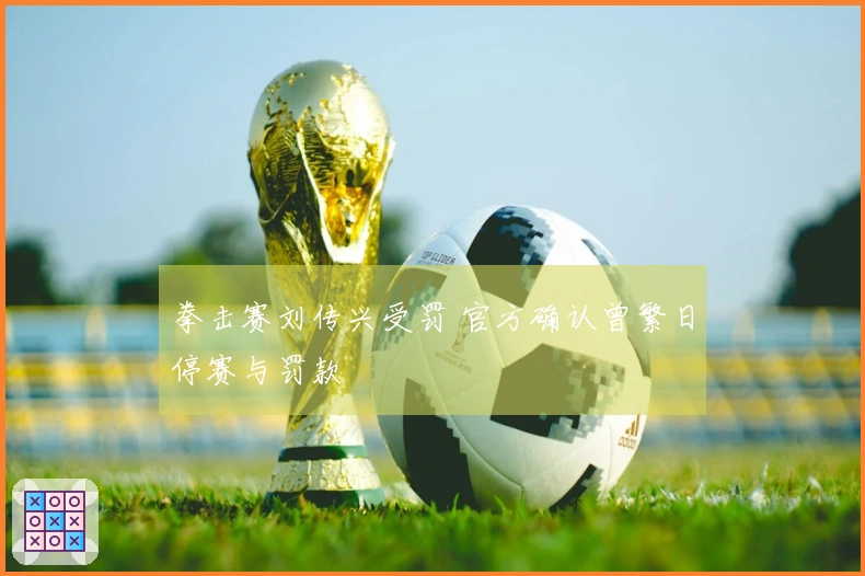 拳击赛刘传兴受罚 官方确认曾繁日停赛与罚款